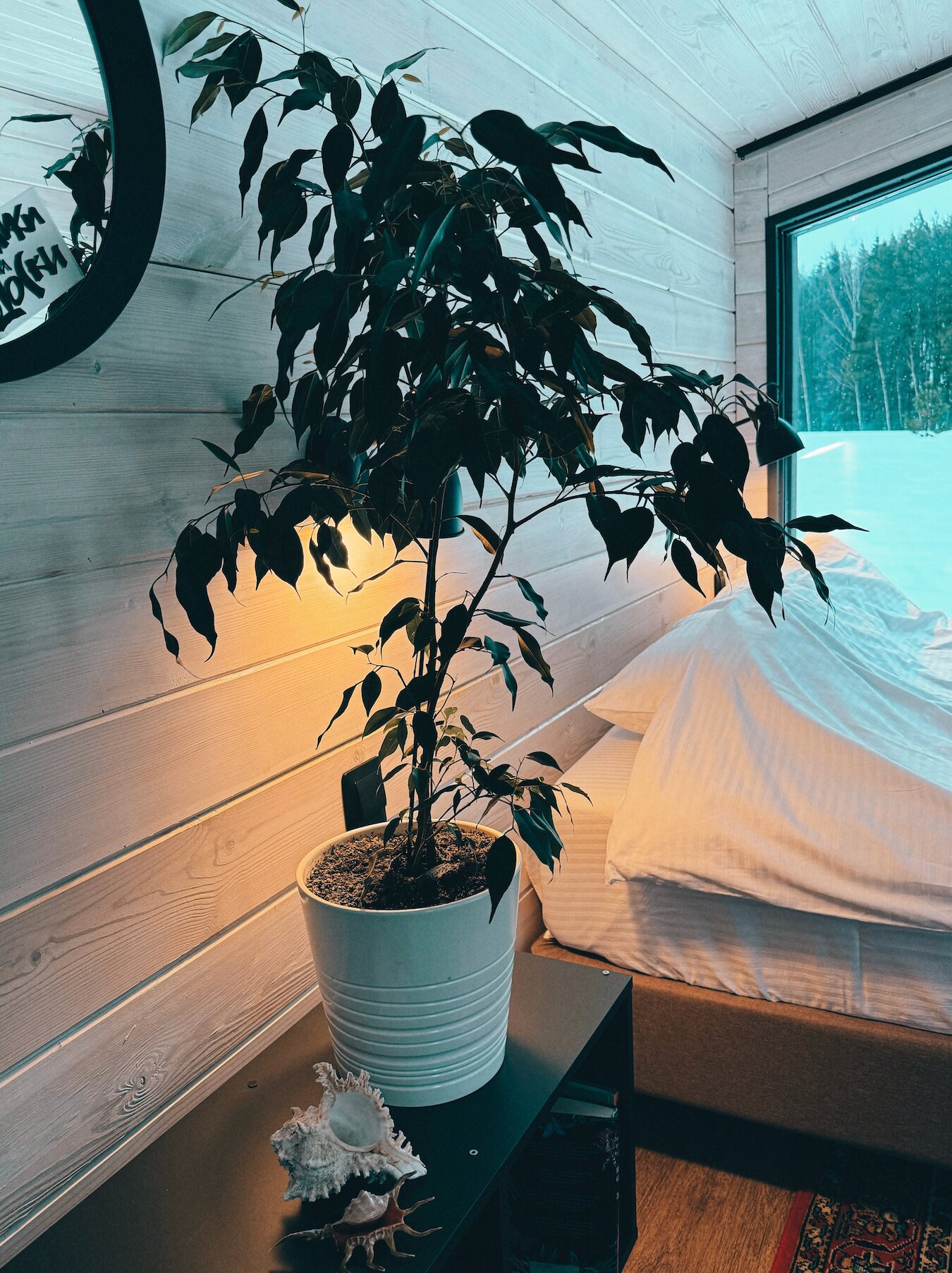 Фото Домики и доски