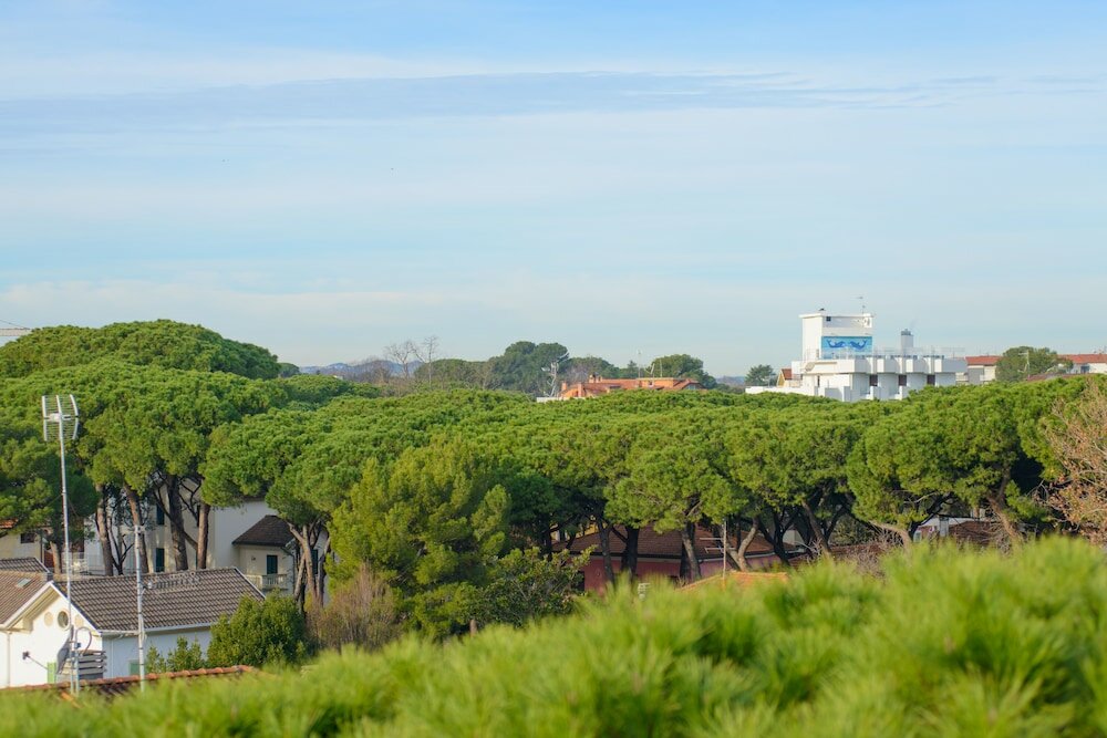 Фото Palace Hotel Domus Mea