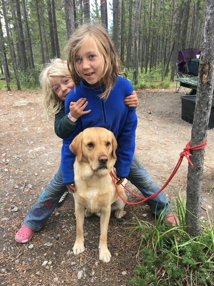 Фото Mediterranean Edmonton BnB