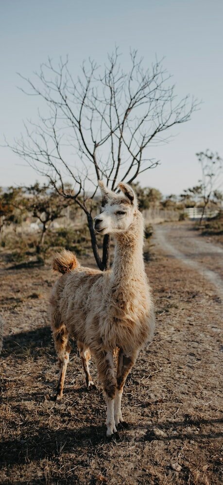 Фото Paradise Ranch