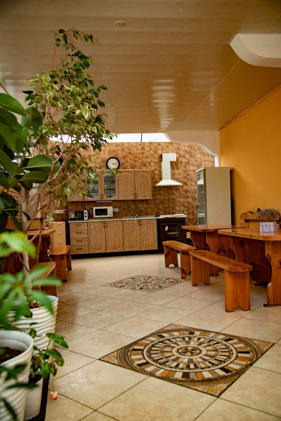 Фото Кенгуру