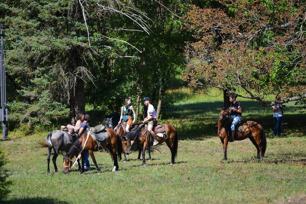 Фото Borjomi Likani