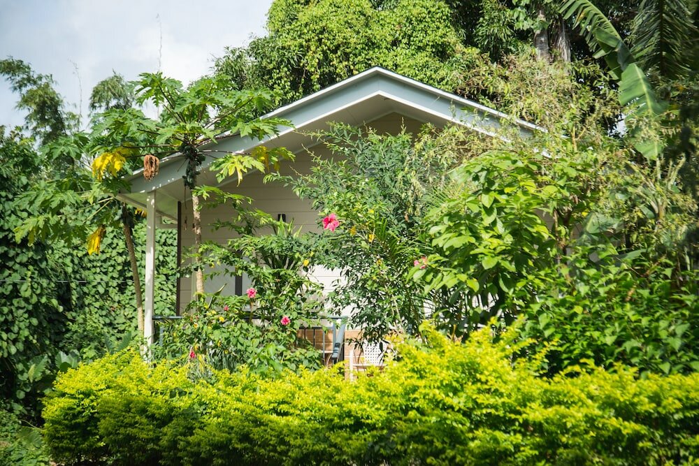 Фото Airai Forest Villa