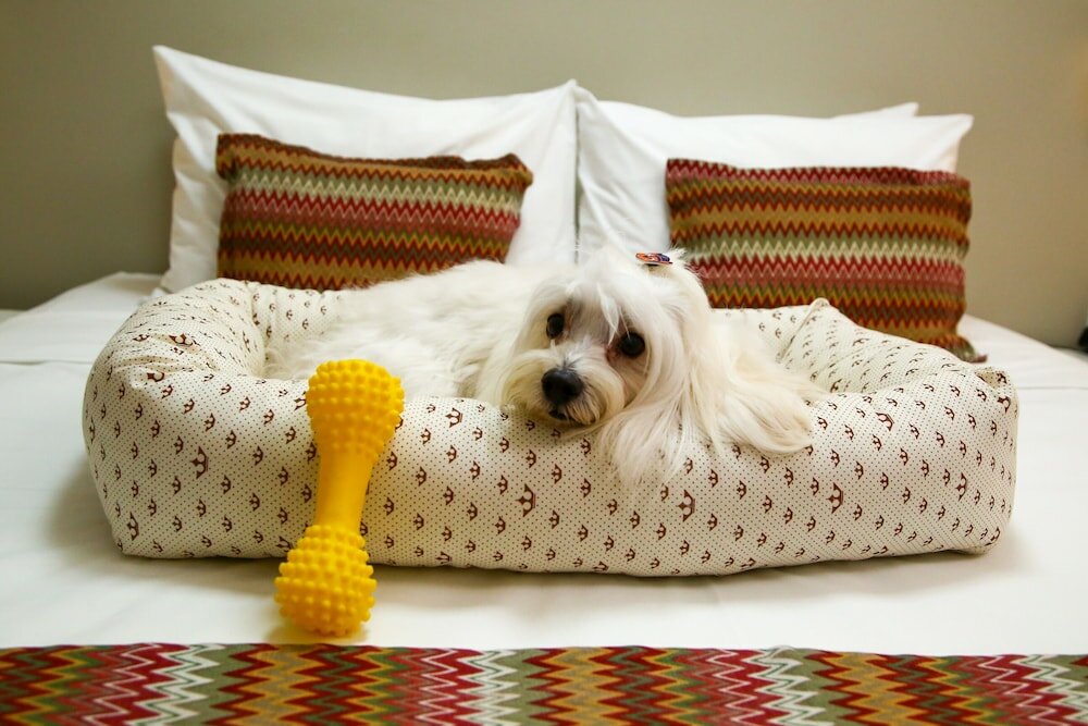 Фото Easy Vitoria by Atlantica