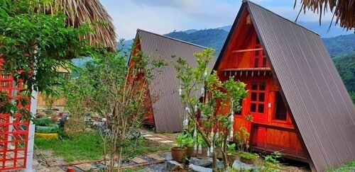 Гостиница Maison Teahouse Homestay - Hostel