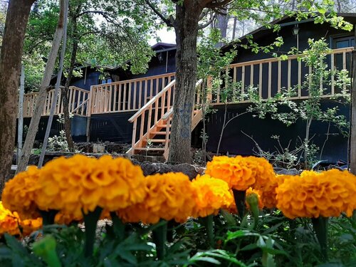 Гостиница Olympos Altaris Pansiyon в Кумлудже