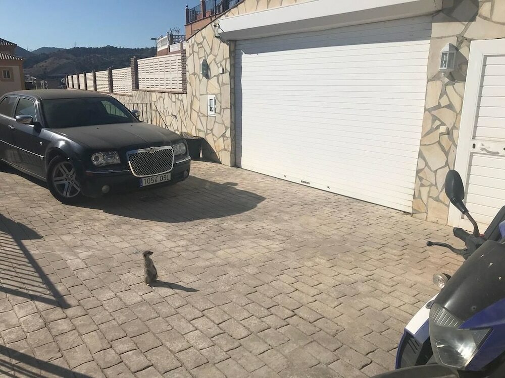 Фото Rooms in Seafront Villa