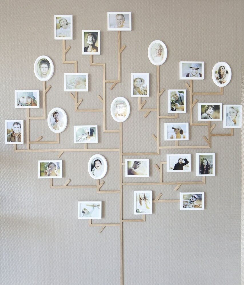 Фото Hotel Marin