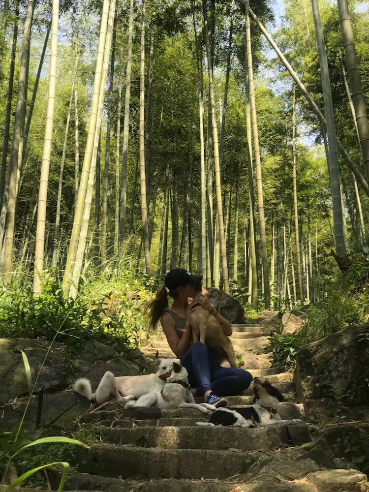 Фото Moganshan Solvang Village Boutique Hotel