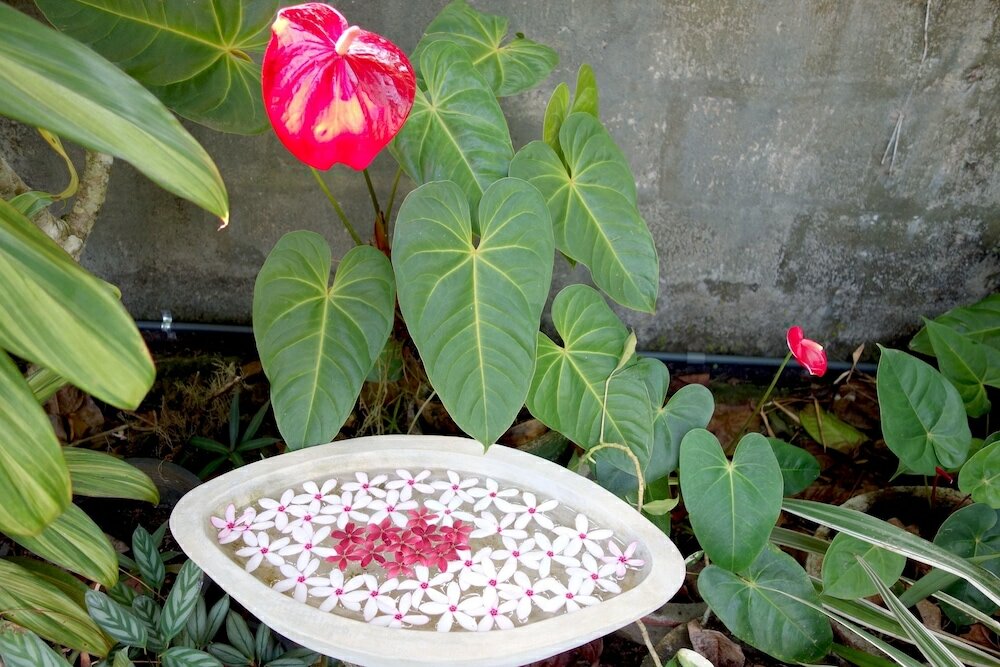 Фото Manel Guesthouse