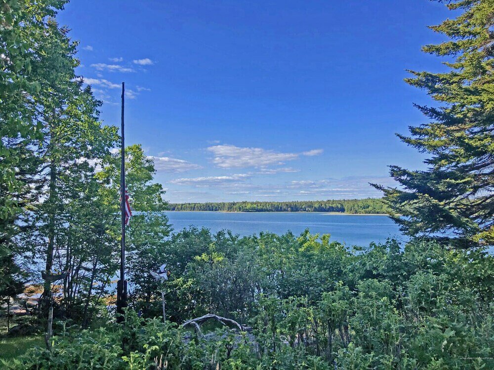 Фото Puffin Rock - New 2022!