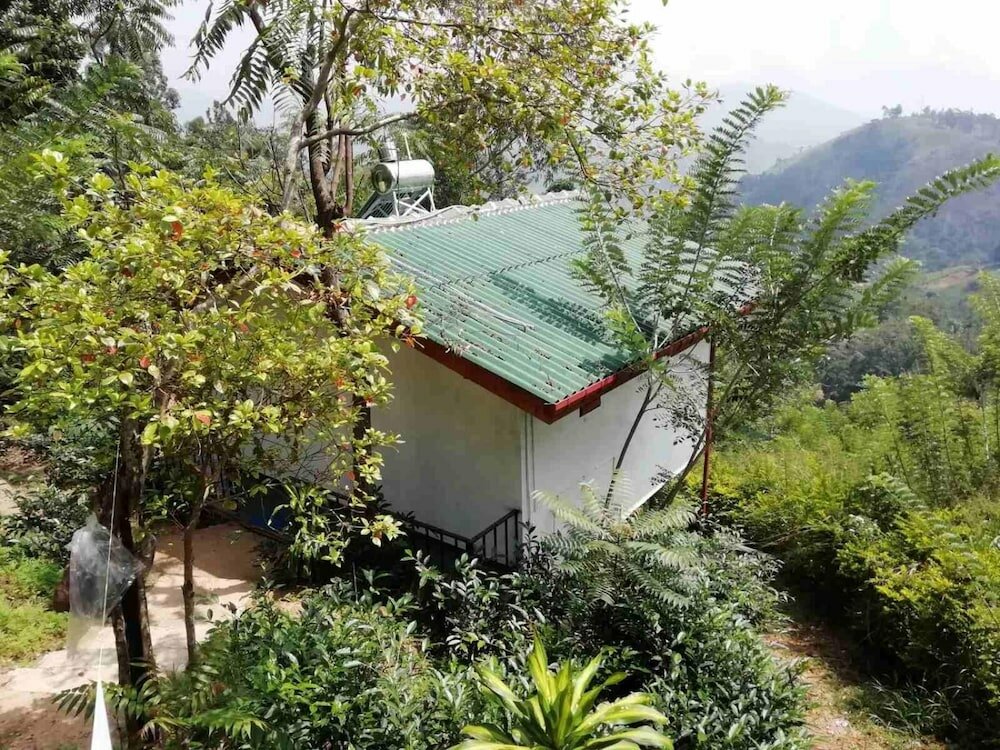 Фото Cloudy Hill Cottage