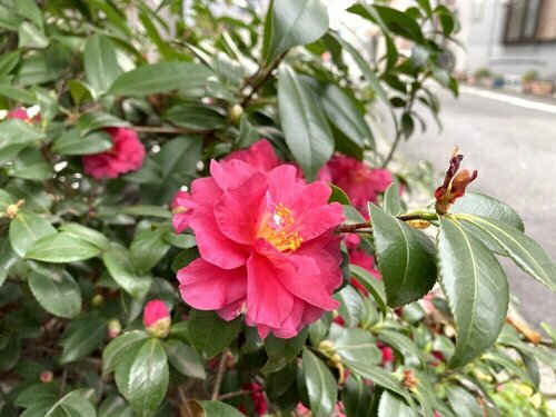 Гостиница Briller Kyoto Tambaguchi H в Киото