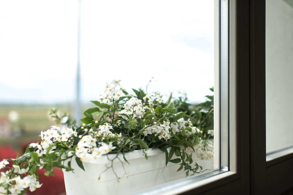 Фото La Locanda di Corrado