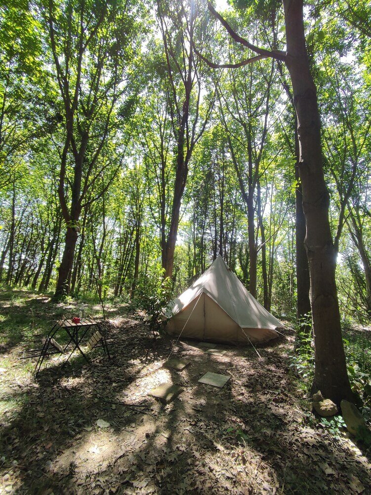 Фото Eco-hostel Quinta das Relvas