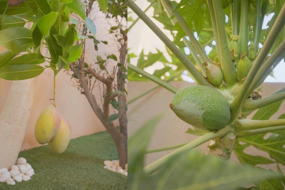 Фото My Island Escape