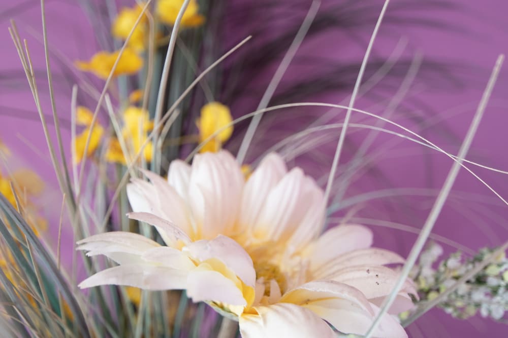 Фото Apartamento del Arqueólogo de Cadiz