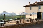 Laqua Vineyard