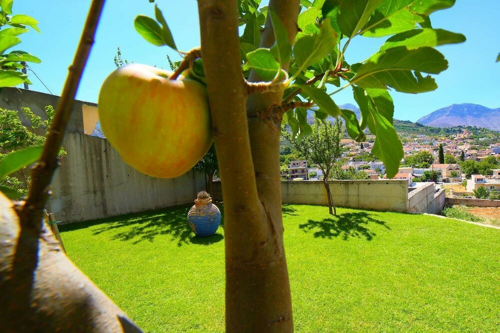 Фото Villas metoxi