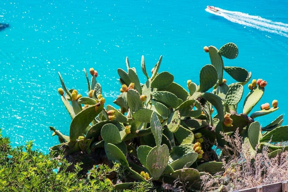 Фото Th Capo Rizzuto