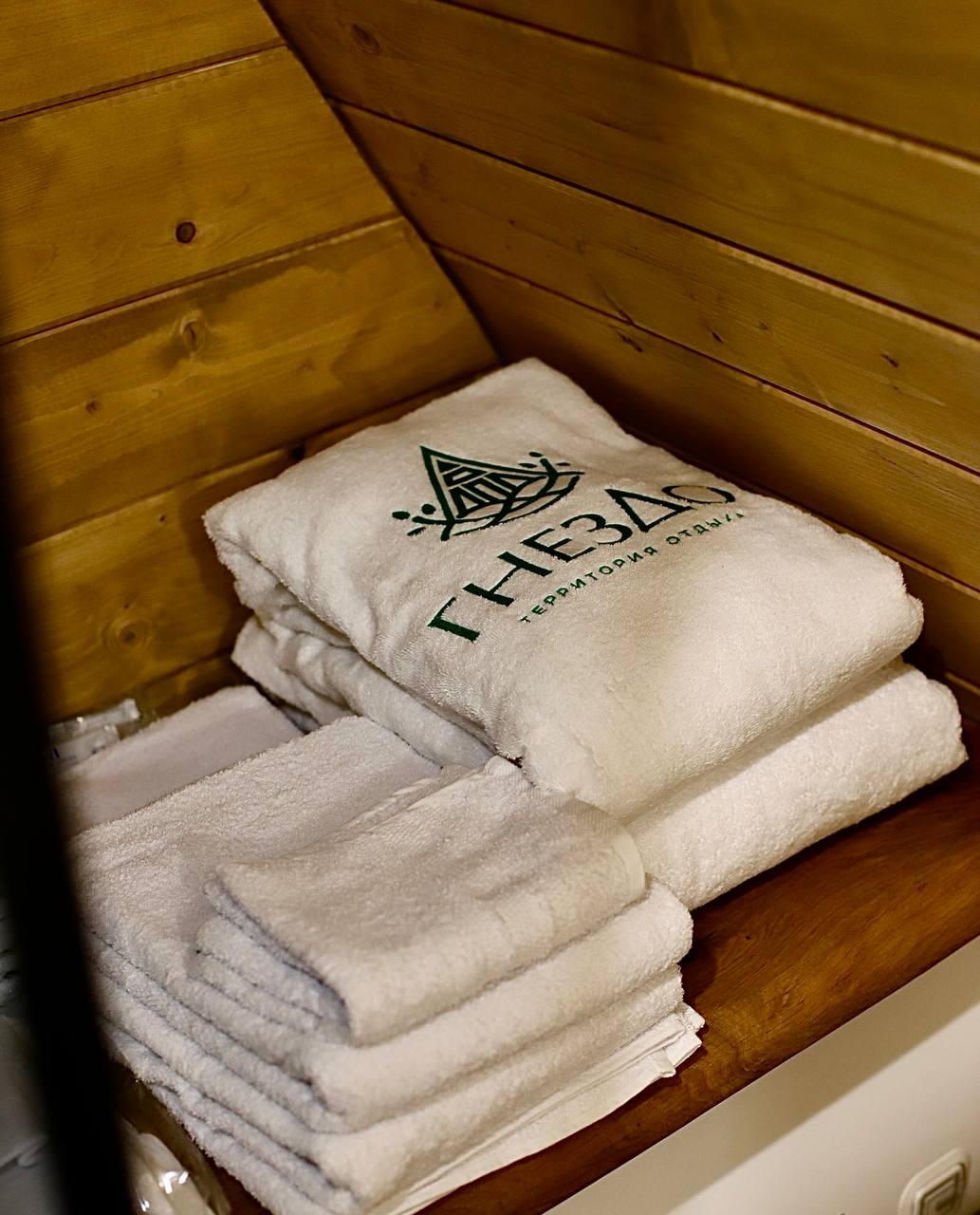 Фото Гнездо