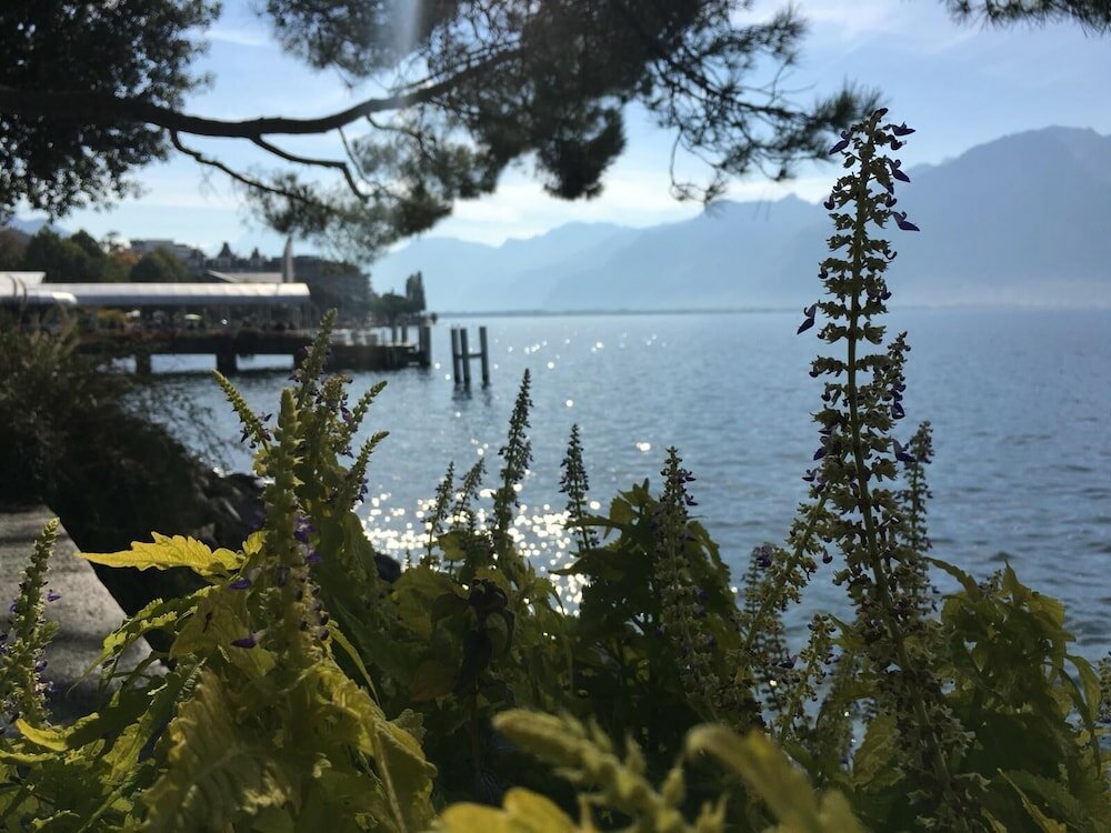 Фото Montreux Lake View Apartments City Centre