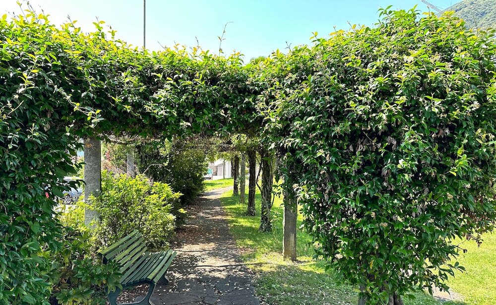 Фото Erooms Minusio