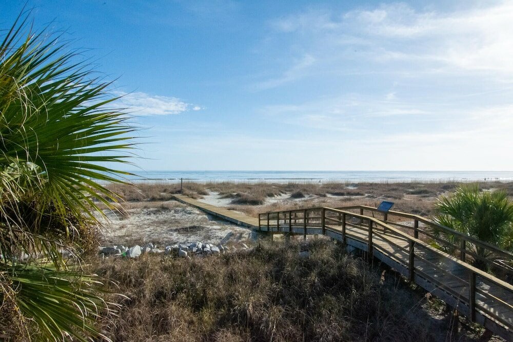 Фото 711 Yellow Perch