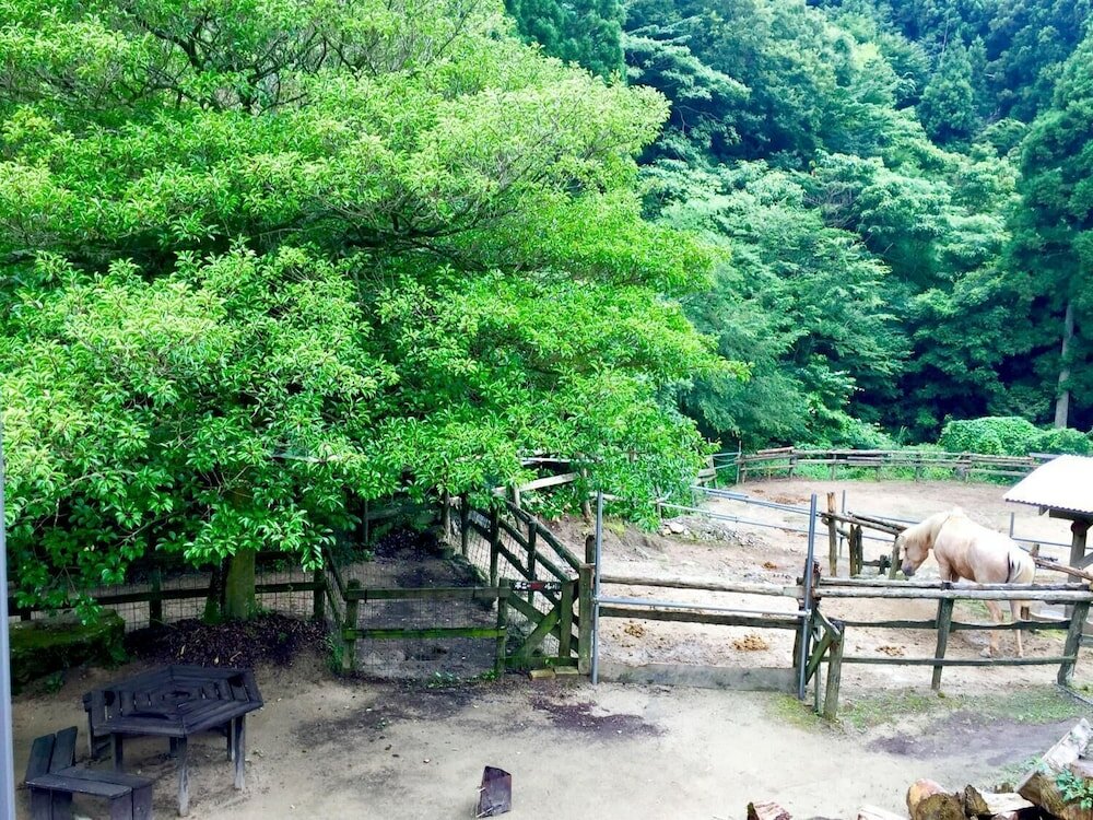 Фото Dosanko Mira Farm