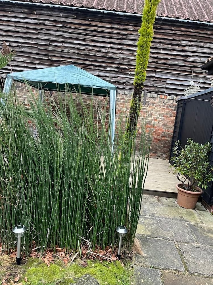 Фото Studio Annex