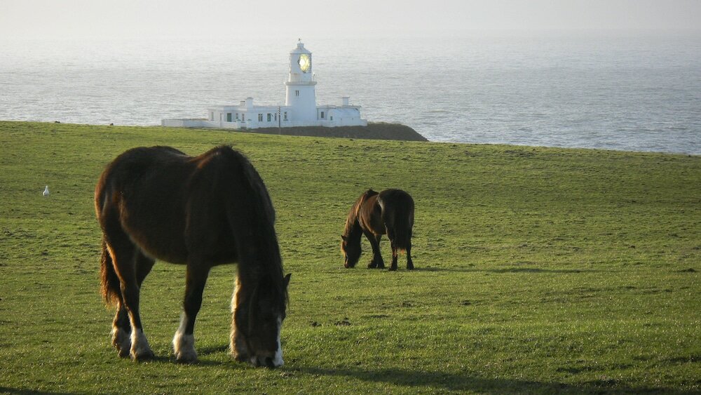 Фото Ivybridge Guest House