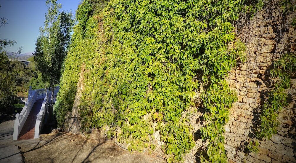 Фото Villa Ignacia B&b