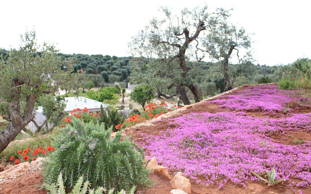 Фото Feudi Mandolivo