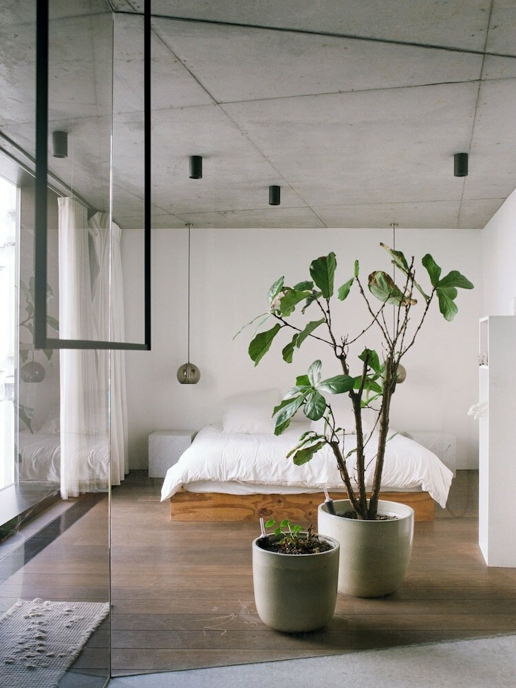 Фото Teddy Picker