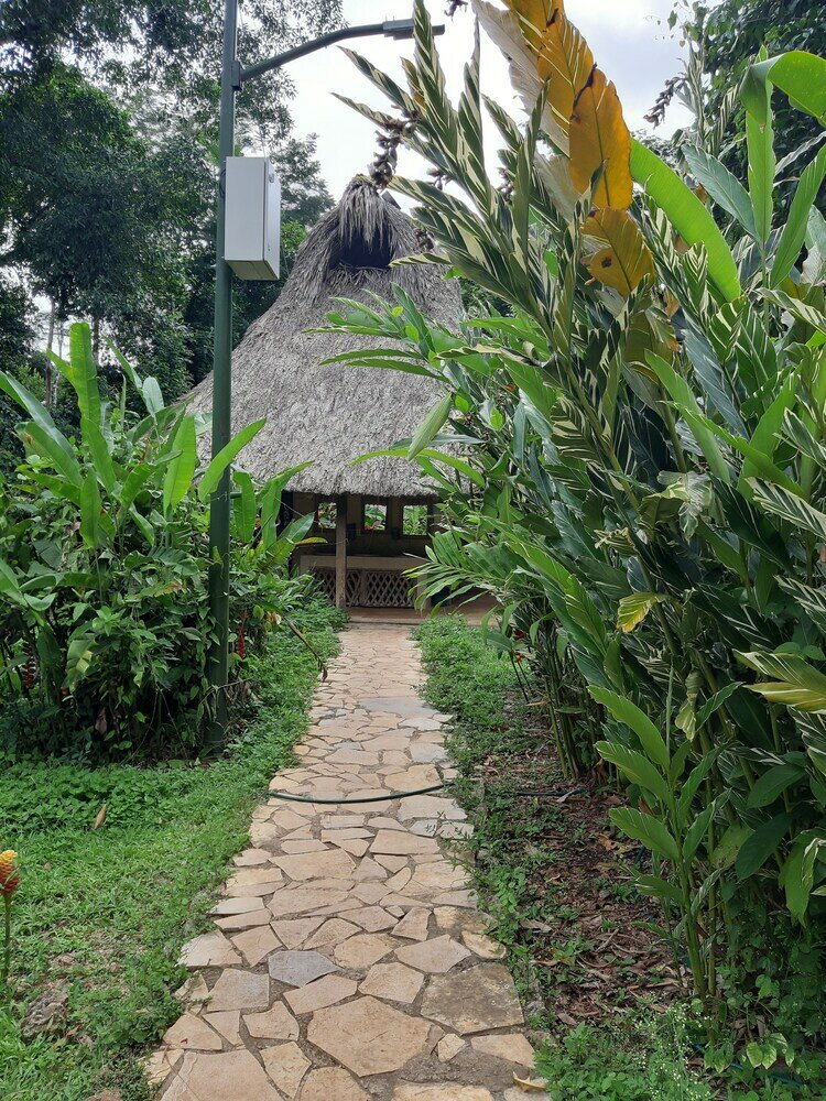 Фото Campamento Lacandones