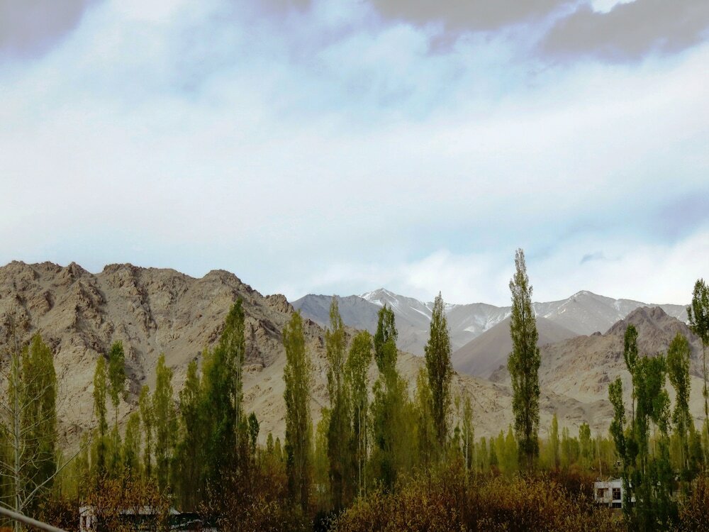 Фото Grand Himalaya