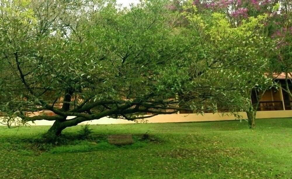 Фото Hotel Fazenda Vale Formoso