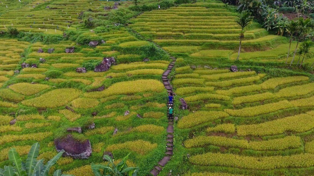 Фото Ramboda Falls Hotel