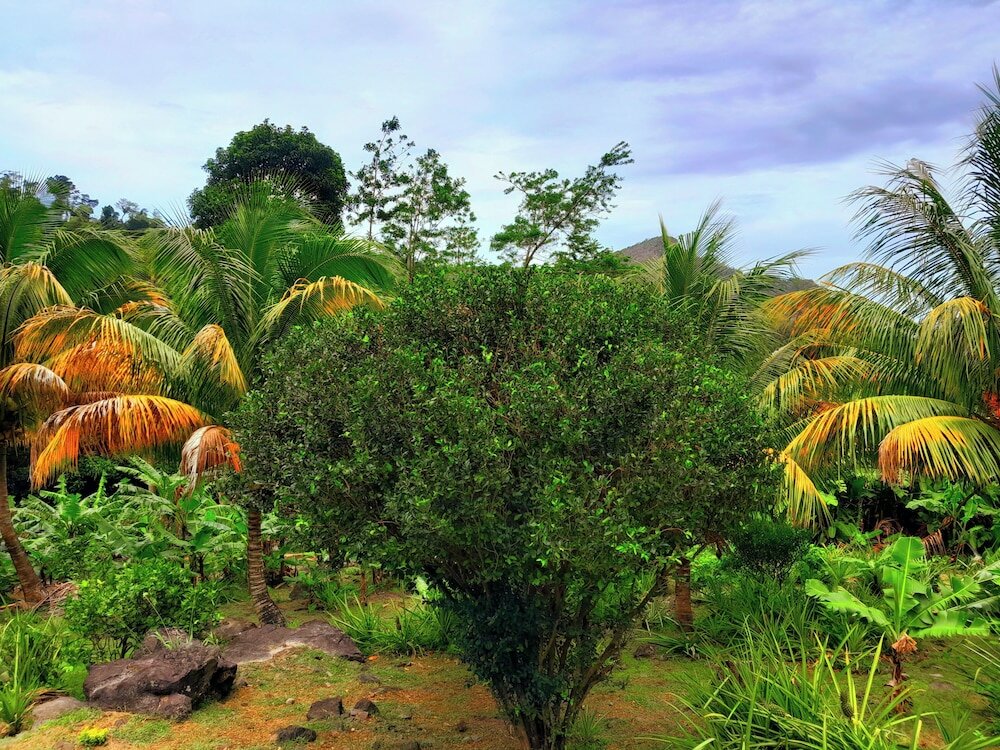 Фото Tranquility Suite Cottage 6