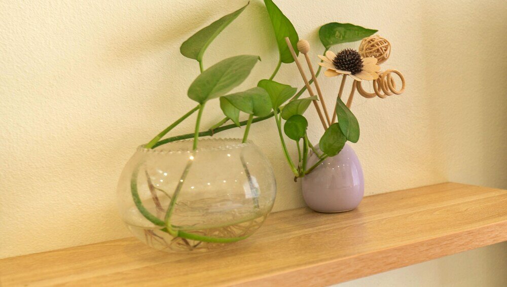 Фото Hanz Noi Bai Airport Hotel