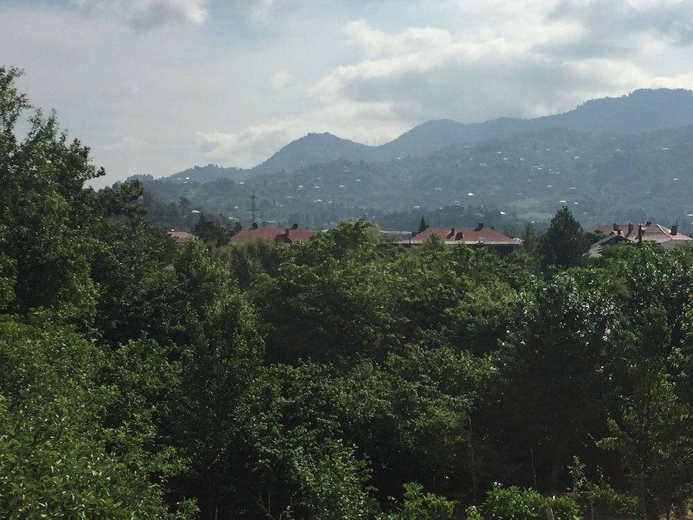 Фото Hotel Botanica