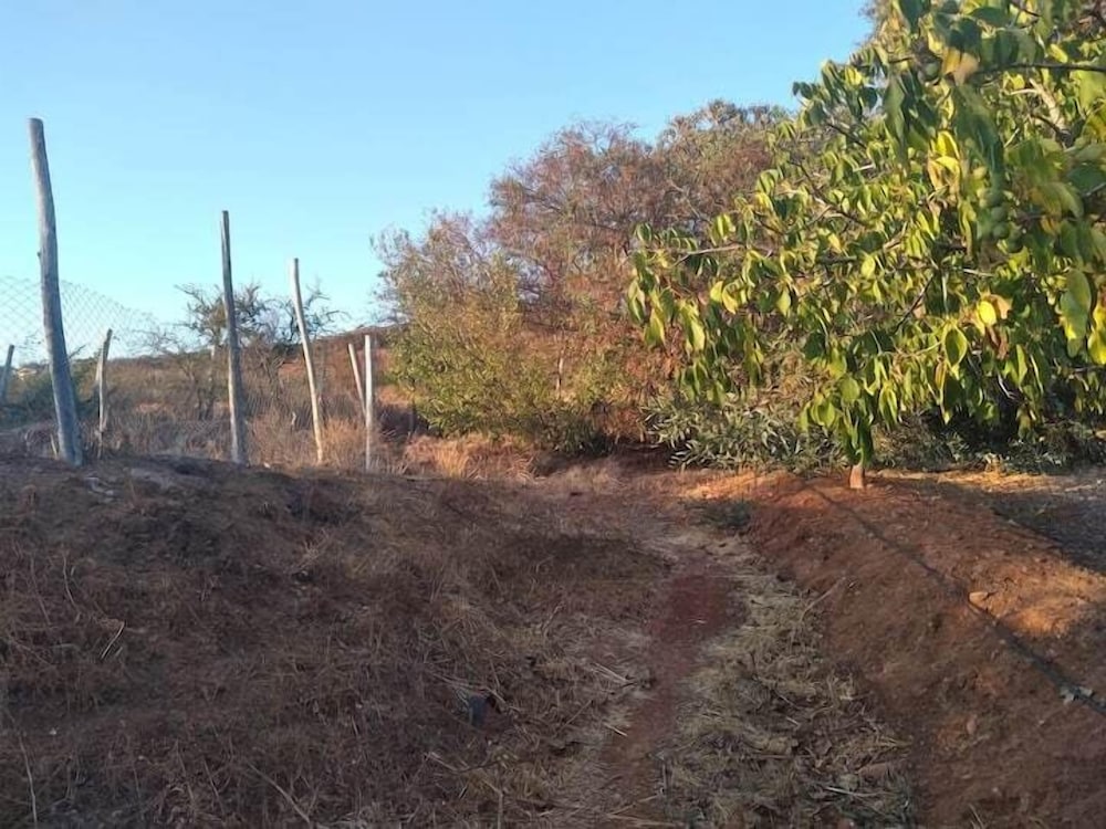 Фото Eco Yoga Lounge Illawara