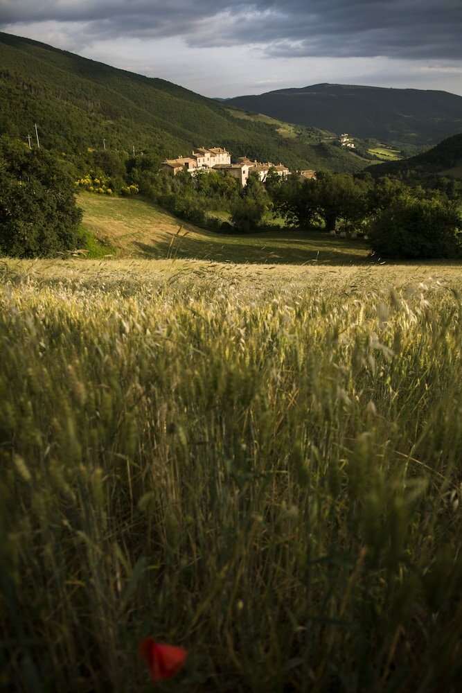 Фото B&b La Terrazza sul Borgo