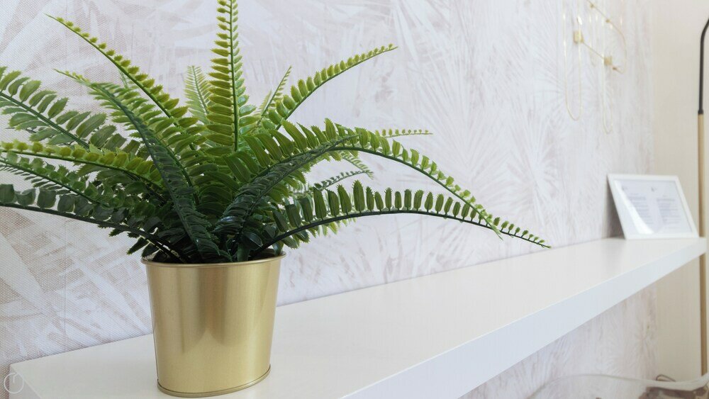 Фото Italianway - Gallura 9