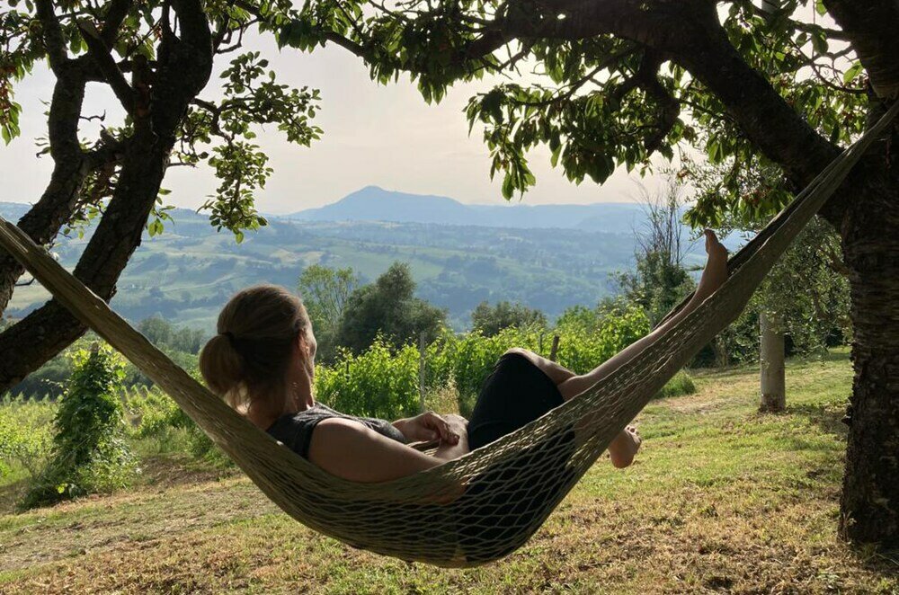 Фото Villa Verdicchio - B&b for winelovers