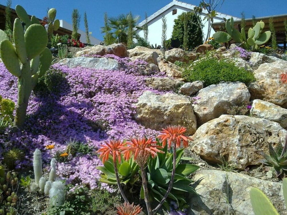 Фото Bed & Breakfast Casa don Carlos