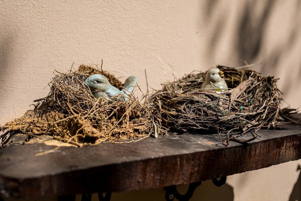 Фото The Olive House