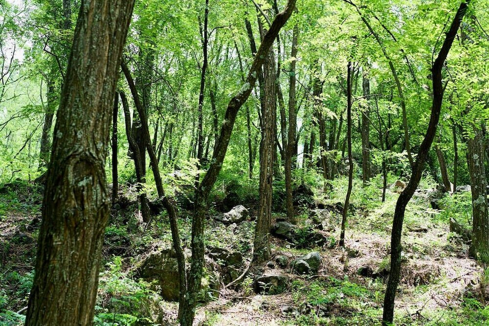 Фото Estancia Grande