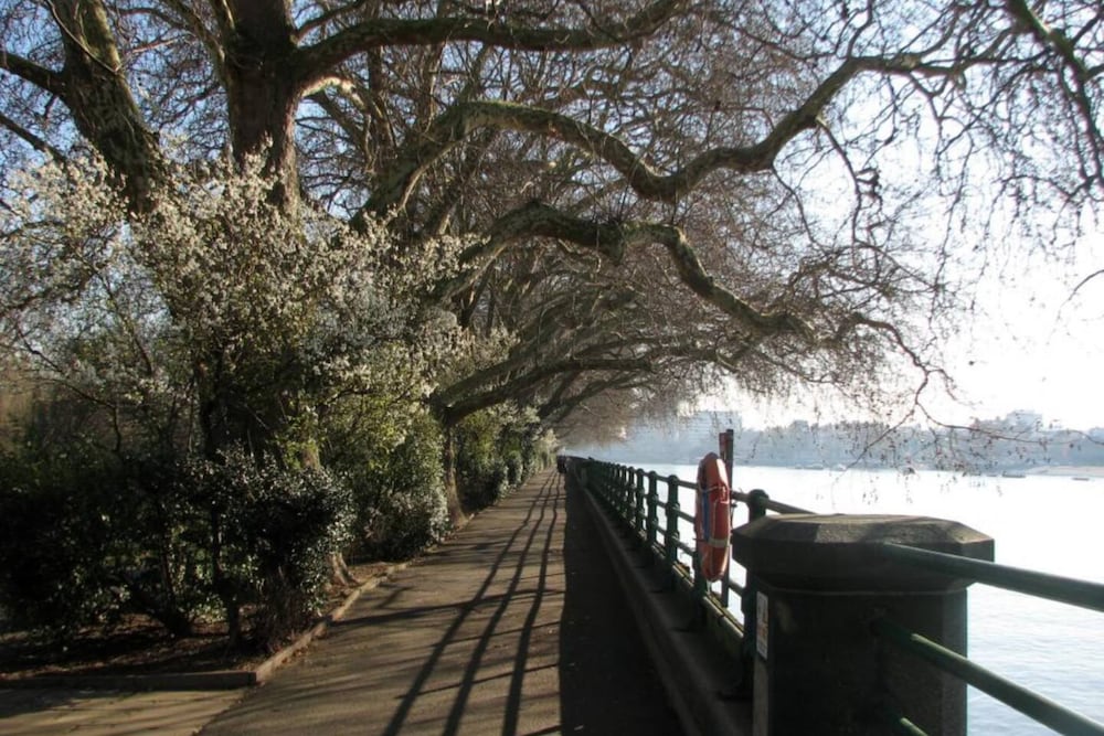 Фото Beautiful 2 Bedroom Flat With Terrace in Fulham