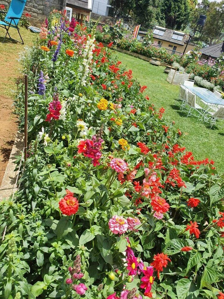 Фото Lakeside Cottages